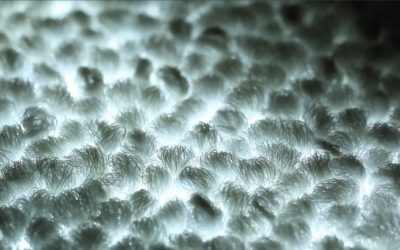 Philips annonce la première moquette lumineuse LED