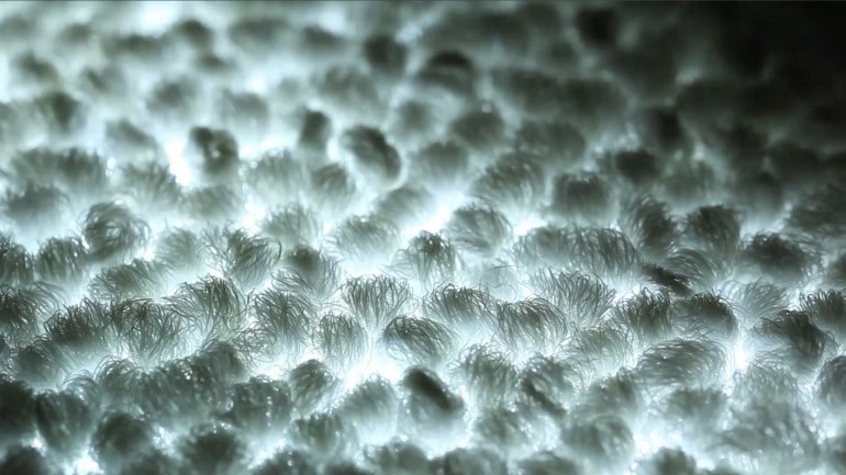 Philips annonce la première moquette lumineuse LED