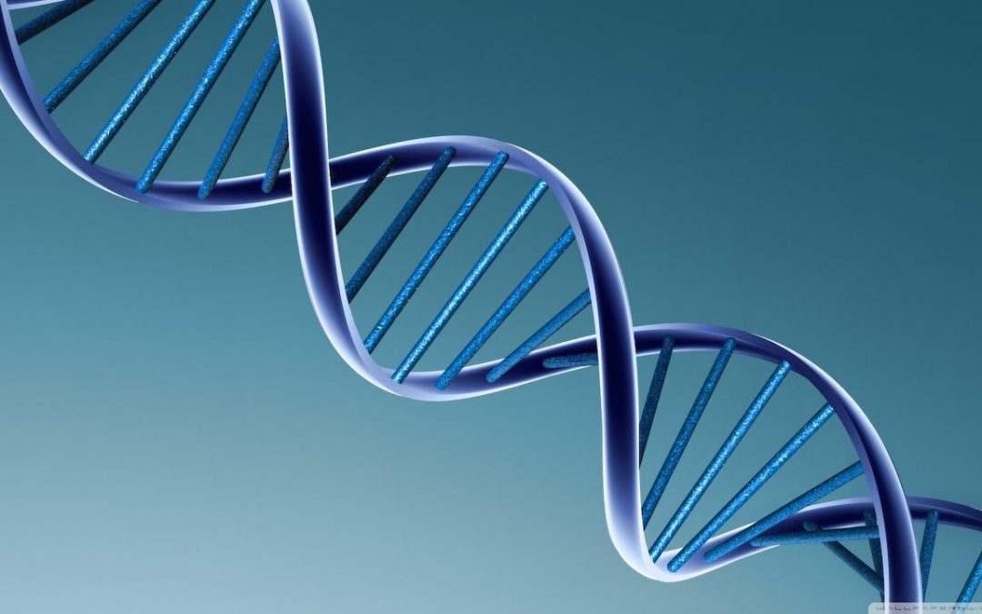Incroyable : l'homme vient de modifier la structure de l'ADN !