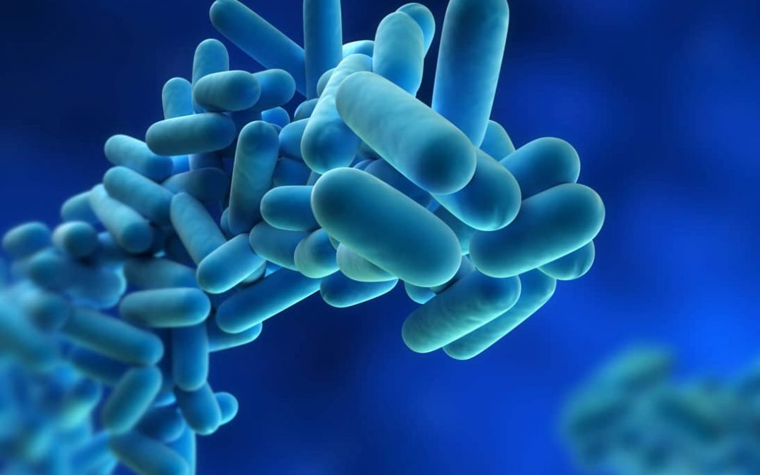 Antimicrobial Corning Gorilla Glass : vers un smartphone antibactérien ?