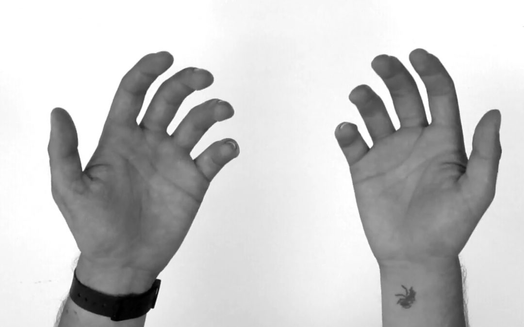 La vidéo à voir absolument : Screengrab par Willie Witte