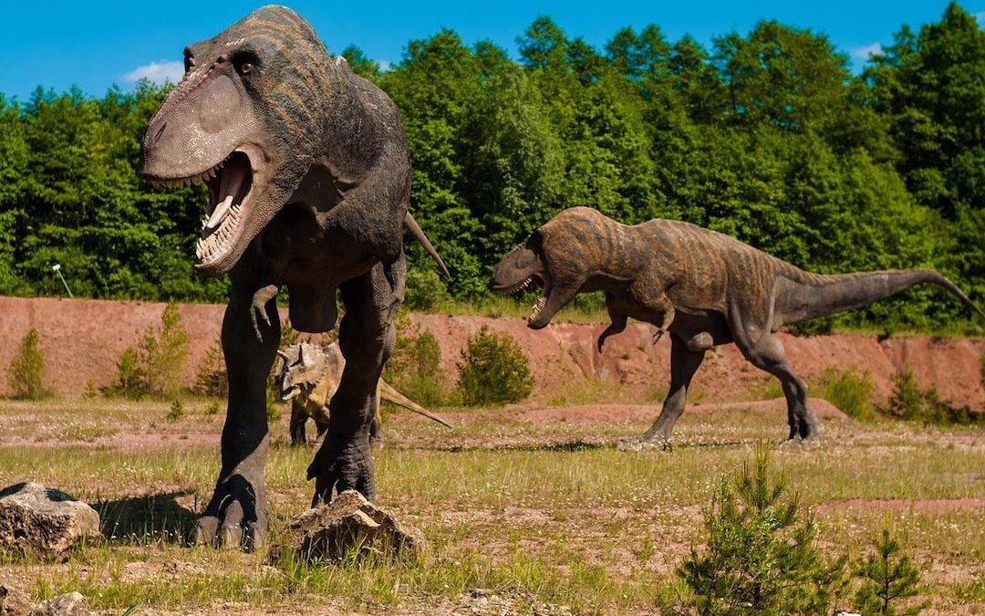 Jurassic World : et si vous rencontriez de « vrais » dinosaures !?